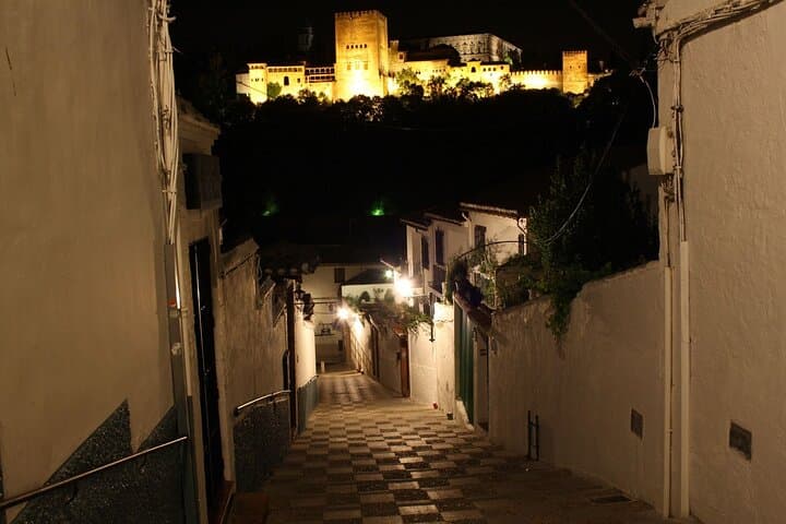 Albaicín and Sacromonte Walking Tour and Flamenco Show