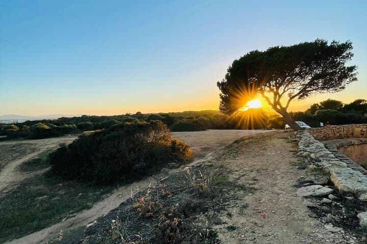 Self-guided Walking Tour and Outdoor Escape Game in Cala Millor, in German