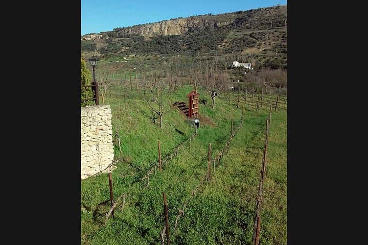 Ronda Organic Wine Tour from Marbella