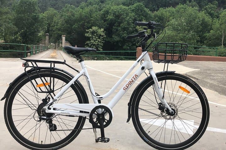 Spinta Viale 2.0