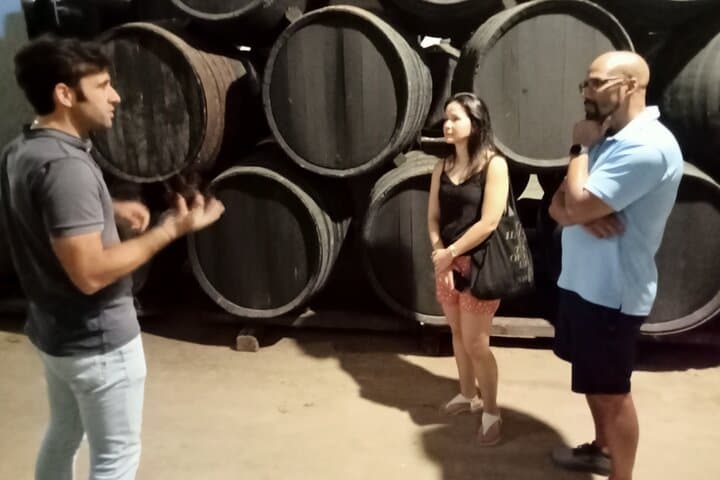 Wine tourism, visit to a traditional winery and wine tasting