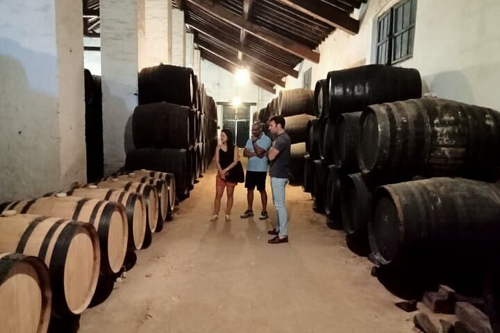 Wine tourism, visit to a traditional winery and wine tasting