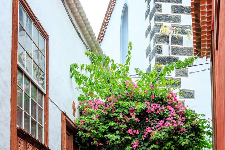 North West Tenerife Secrets