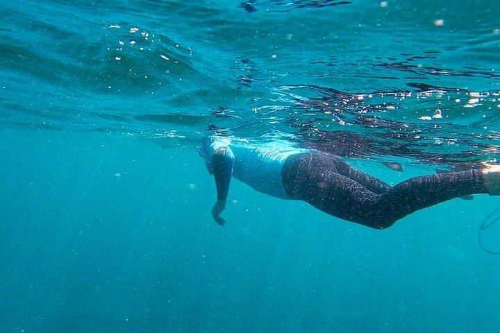Stand Up Paddle and Snorkeling Tour of Gran Canaria with Transfers south area