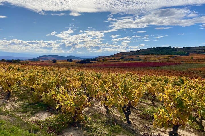 Private La Rioja Wine Tour with Tastings & Lunch – Full Day