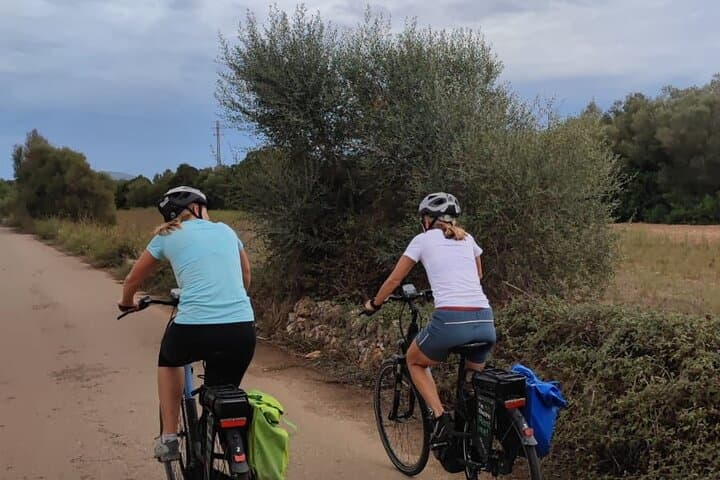 Half-day e-bike tour to the oldest market on the island