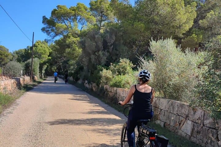 Half-day e-bike tour to the oldest market on the island