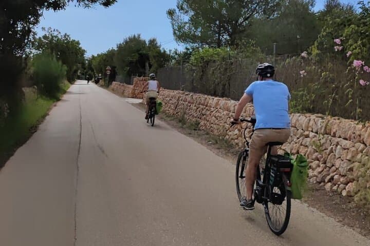 Half-day e-bike tour to the oldest market on the island