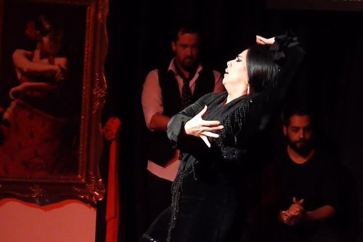 Albaicín and Sacromonte Walking Tour and Flamenco Show