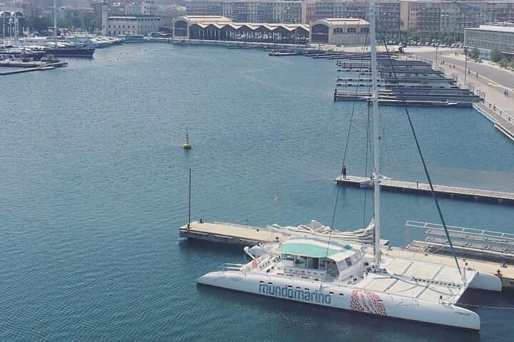 1 Hour Sailing Excursion in Valencia