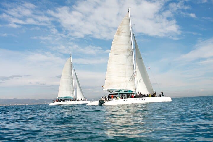 Large sailing catamarans are the best platform for activities. due to its size and great stability