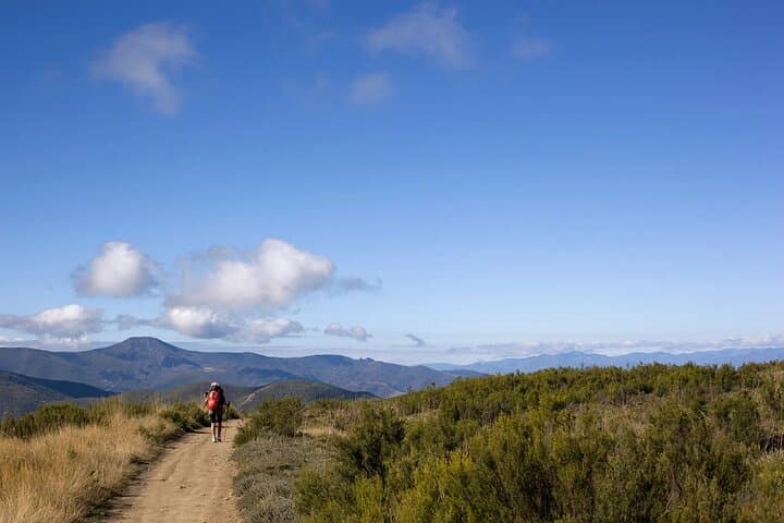 Live the magic of Camino de Santiago