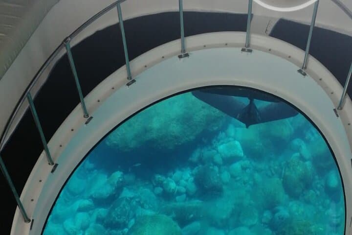 underwater vision