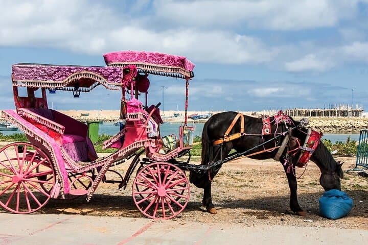 Private Tour from Cadiz to Tangier and Asilah