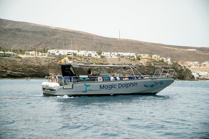 2-Hour Dolphin Watching Experience in Fuerteventura