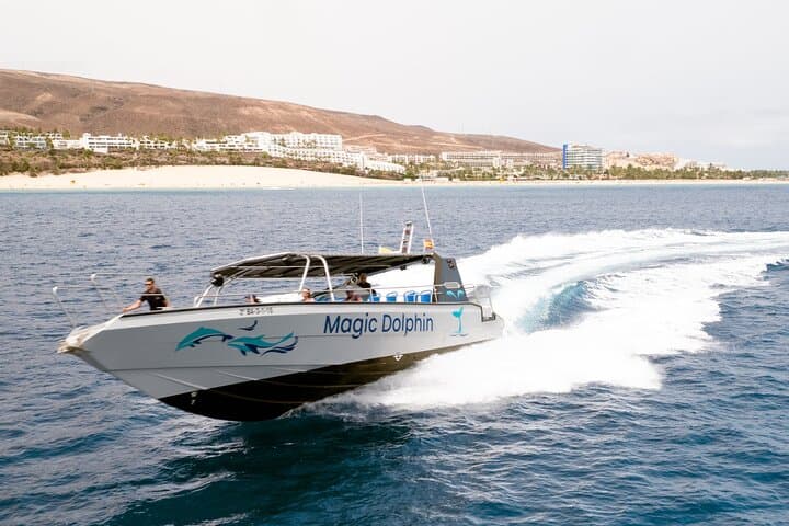 2-Hour Dolphin Watching Experience in Fuerteventura