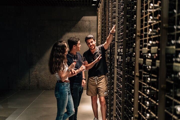 Private Segovia & Ribera del Duero with Wine Tasting from Madrid