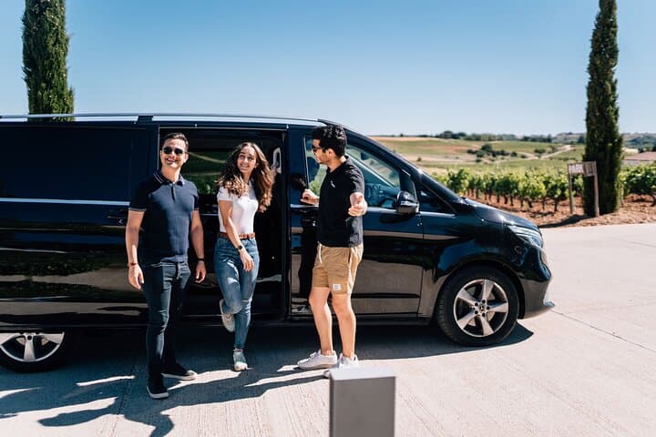 Private Segovia & Ribera del Duero with Wine Tasting from Madrid