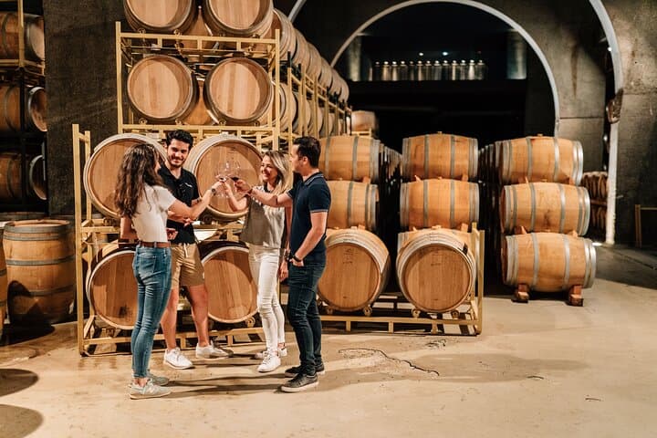 Private Segovia & Ribera del Duero with Wine Tasting from Madrid