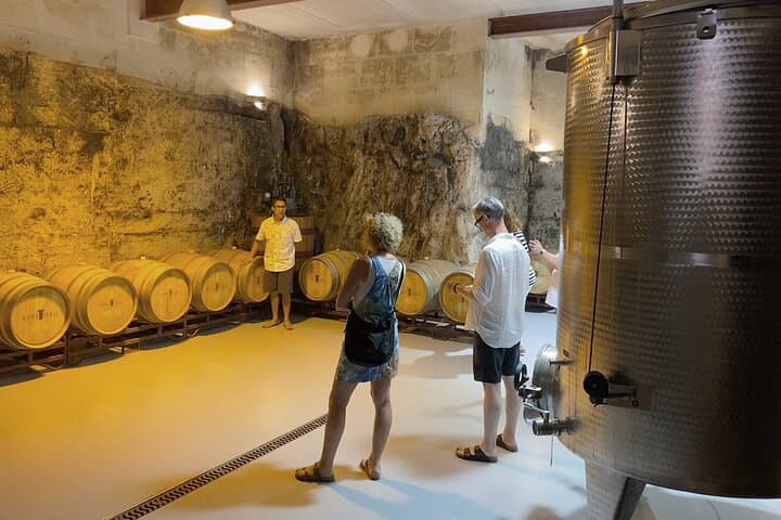 Winery Tour in Menorca with Wine Tasting
