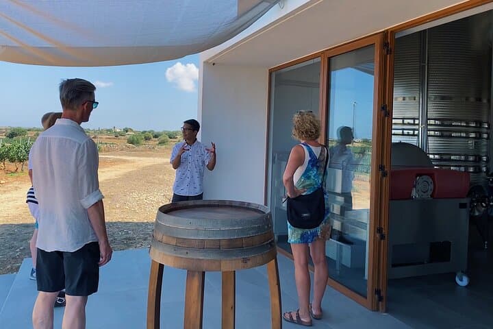 Winery Tour in Menorca with Wine Tasting