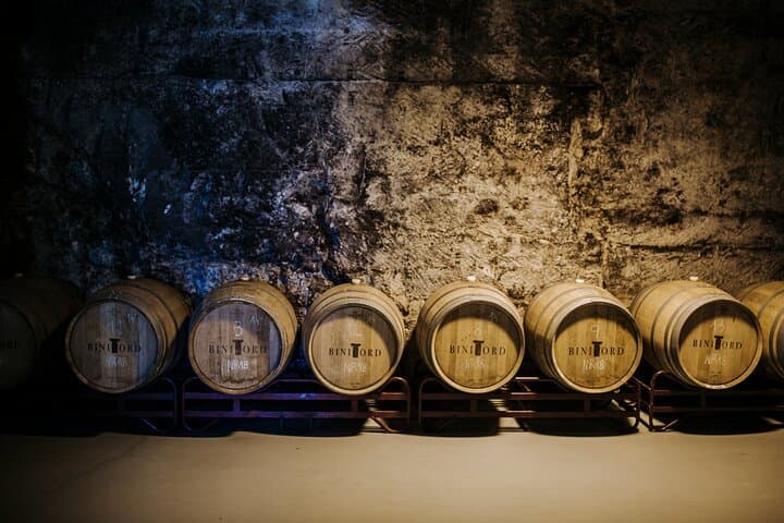 Winery Tour in Menorca with Wine Tasting