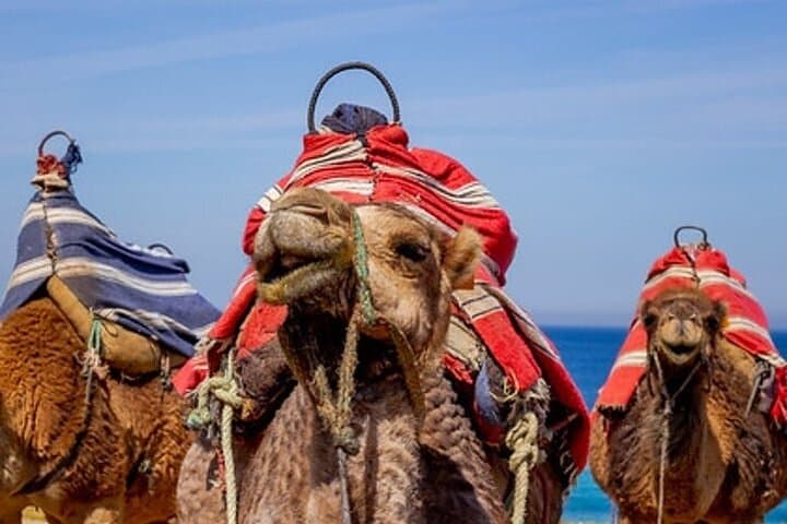 Chefchaouen Day Trip from Seville