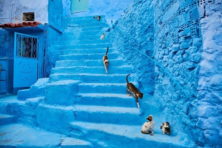 Chefchaouen Day Trip from Seville