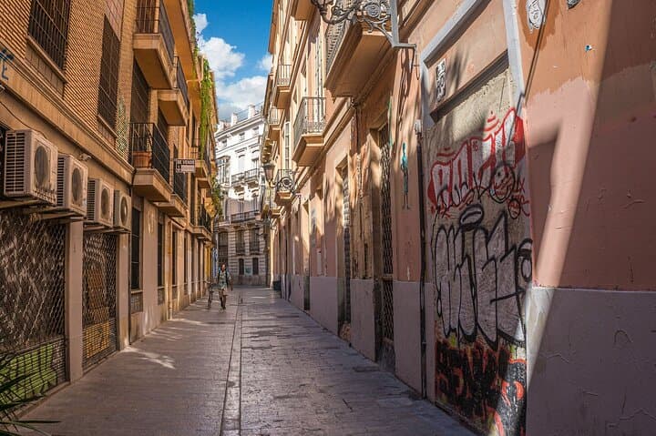 Private Walking Tour of Valencia with Official Guide