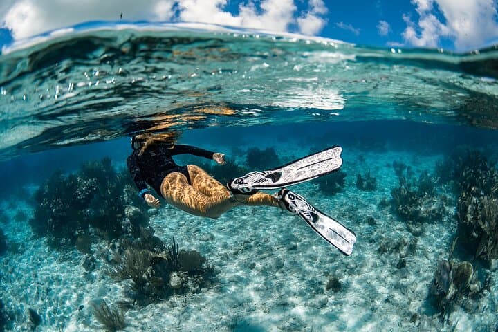 Snorkel Rental 24h, discover Tenerifes Ocean on your own!