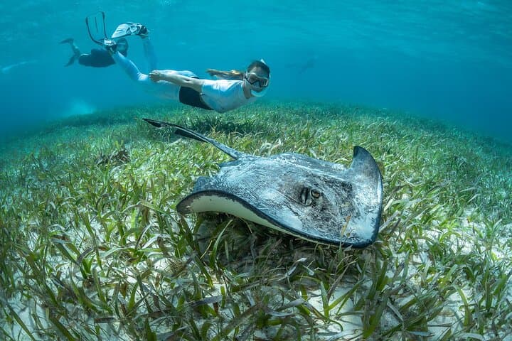 Snorkel Rental 24h, discover Tenerifes Ocean on your own!