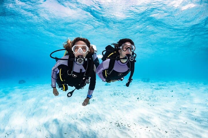 Try Dive - PADI Discover Scuba Diving in Tenerife