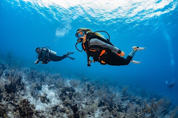 Try Dive - PADI Discover Scuba Diving in Tenerife