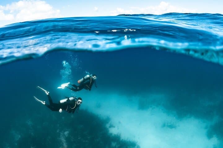 guided Scuba Diving on Tenerife (for certified divers)