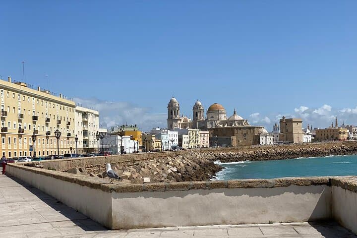 Cádiz Tapa (food) and walking Tour - Half-Day Private tour