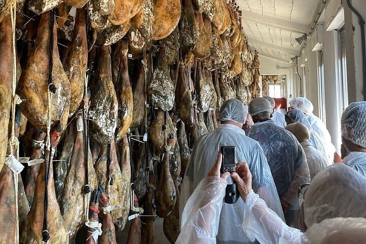 Visit to the Ham Factory in Salamanca. Tasting and Masterclass