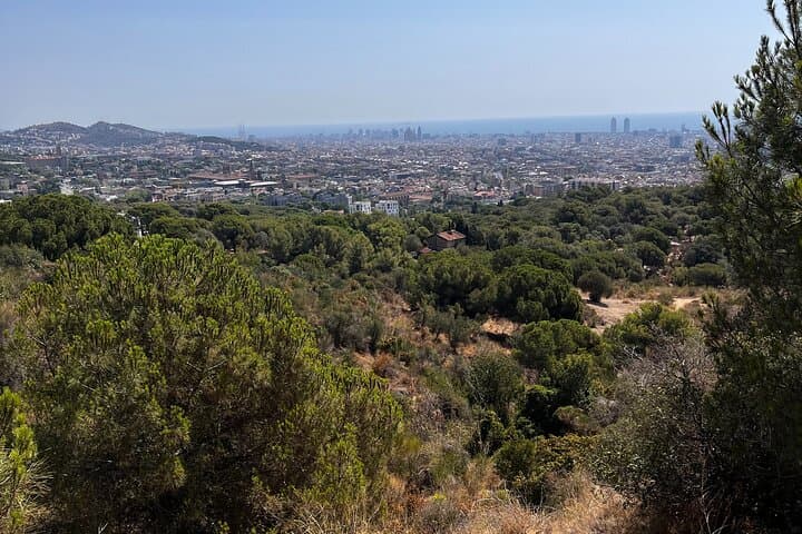 Private Collserola Hills Wildlife Hiking Tour