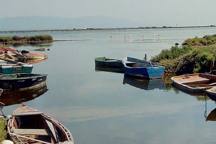 Guided tour of the Ebro Delta (North Delta)