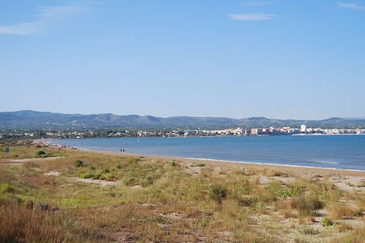 Guided tour of the Ebro Delta (North Delta)