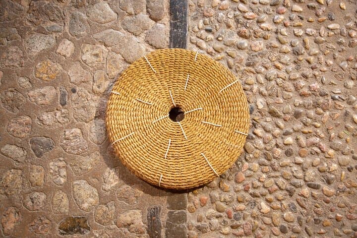 Guided Tasting Tour in 16th century House and Olive Oil Factory
