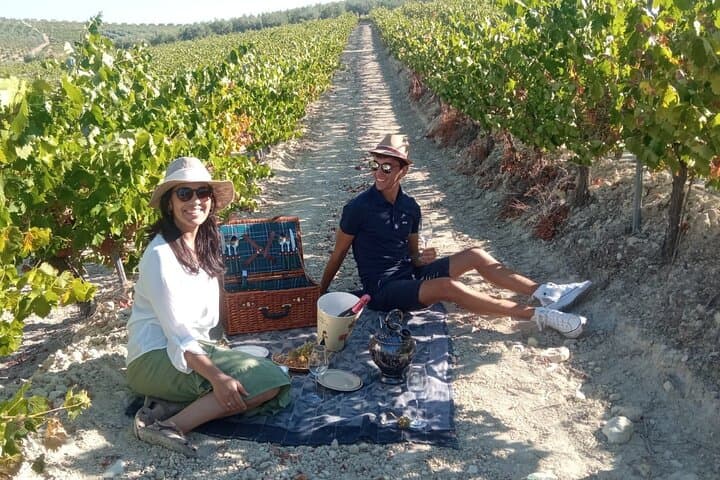 Full day in Cordoba between Vineyards and Olive Trees with a Convertible Car