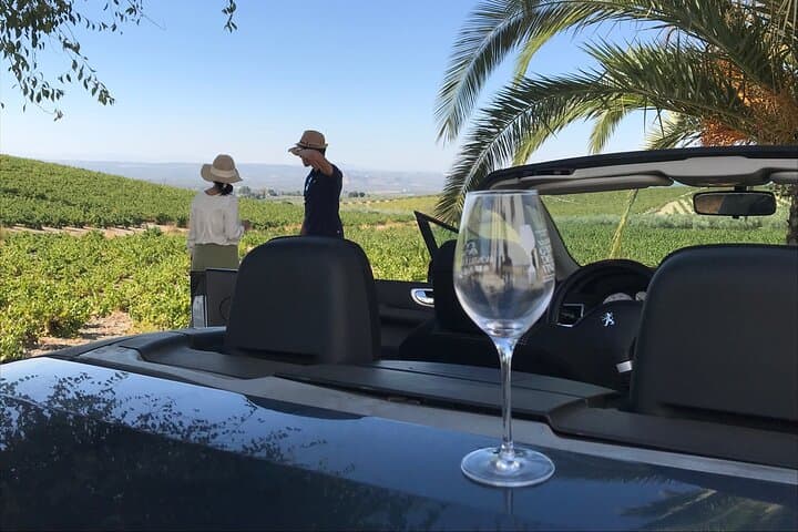 Full day in Cordoba between Vineyards and Olive Trees with a Convertible Car