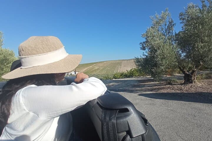 Full day in Cordoba between Vineyards and Olive Trees with a Convertible Car