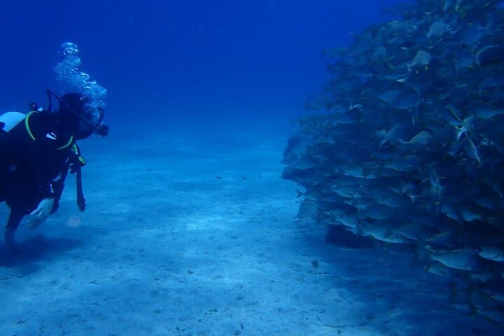 After becoming familiar with the equipment, one of our students enjoys observing the marine world.