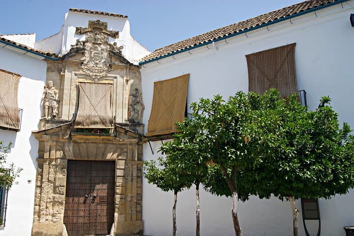 Cordoba and its Mosque from Málaga with Private Transfer