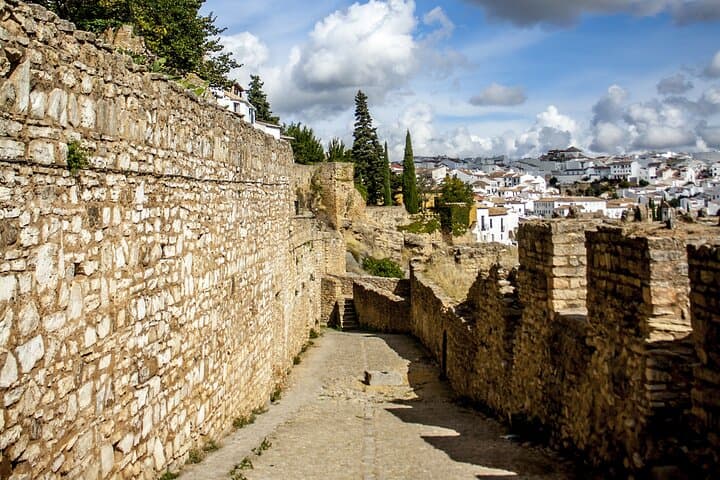 Ronda from Malaga with private transportation