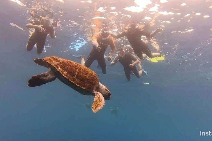 Snorkeling in a Wonderful Volcanic Bay