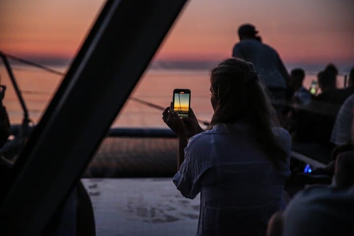 Mallorca: Alcudia Sunrise Dolphin-Watching Boat Trip