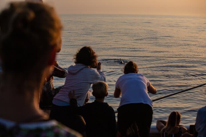 Sunrise Boat Trip in Mallorca with Dolphin-Watching