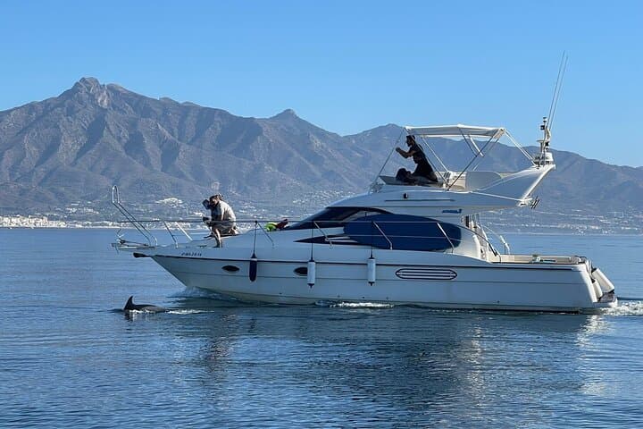 Dolphin watching off the Marbella coast during the tour